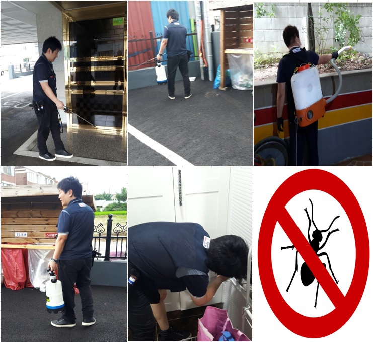 용인시 아파트형 단체방역 바퀴벌레/개미 작업 현황