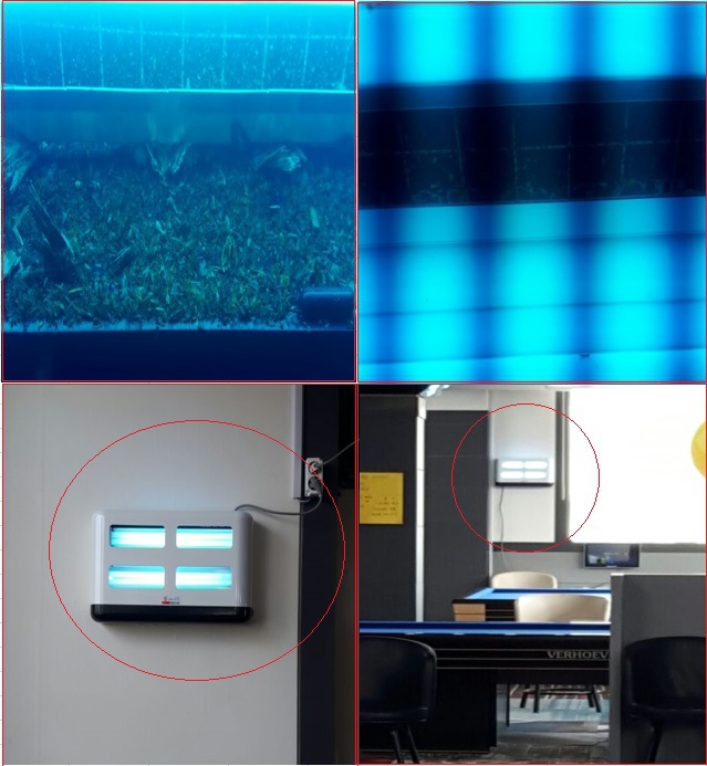 스마트캐치  실내 비례해충 포집 효과파악