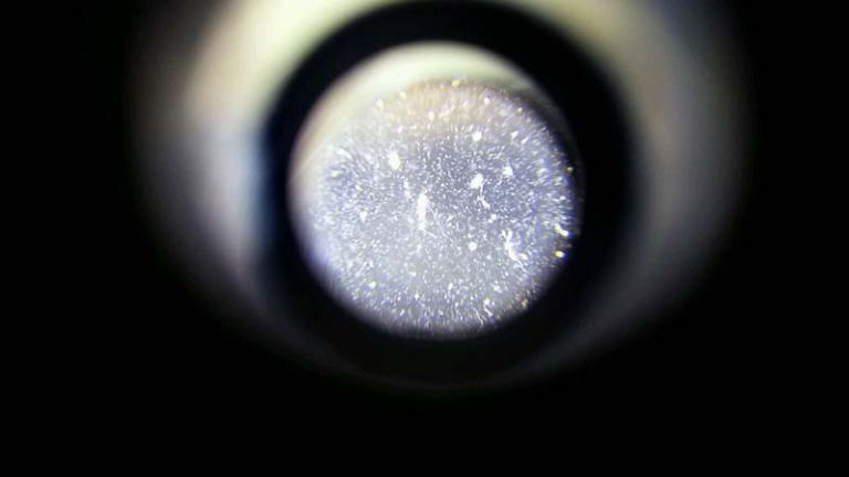 가정집 집먼지진드기 시공 사례