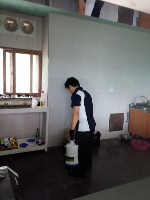 기숙사 바퀴벌레 전체 시공 사례