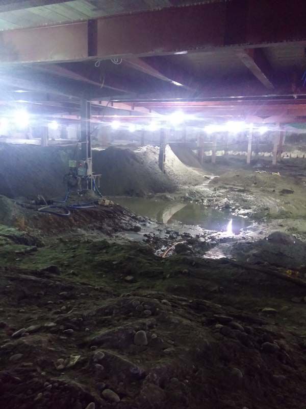 현대건설 모기 퇴치 사례