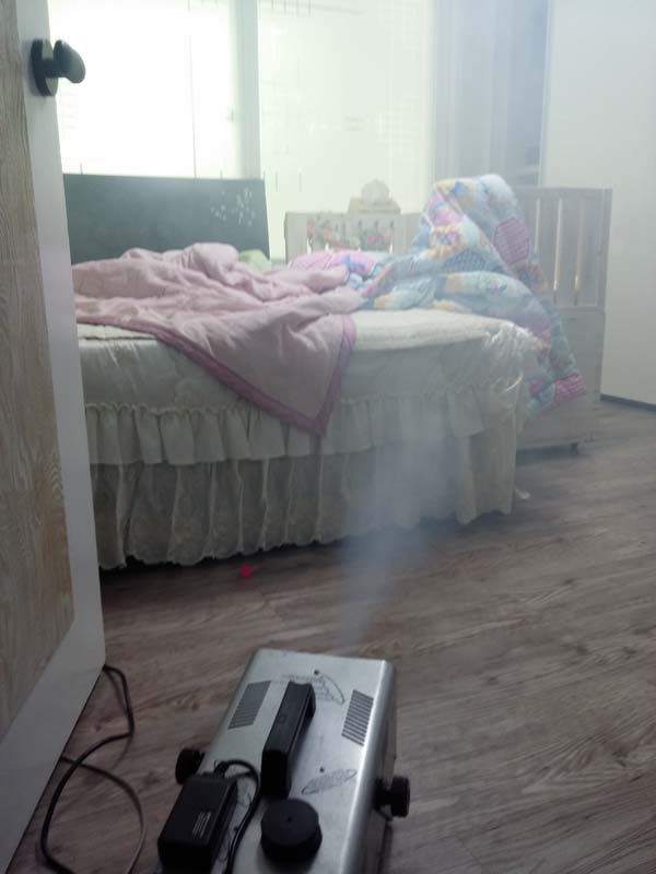 가정집 빈대 시공 의뢰