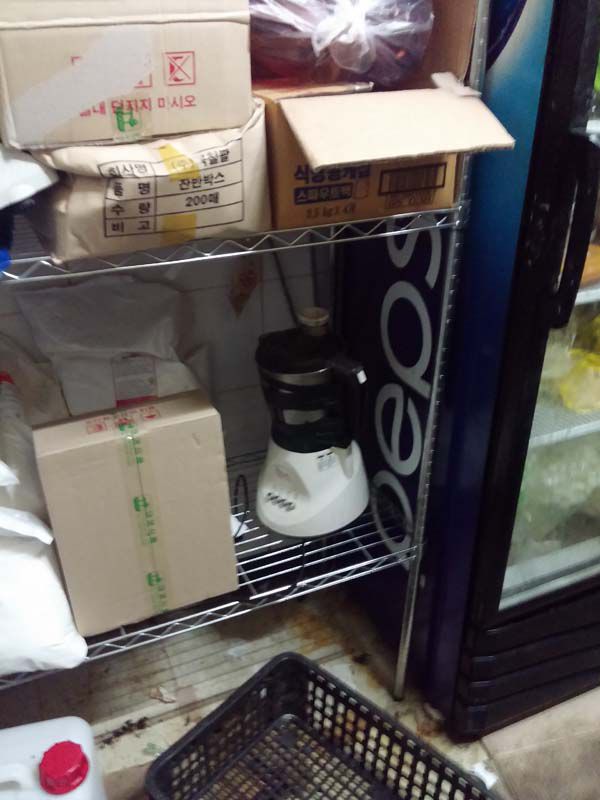 요식업 바퀴벌레 퇴치 의뢰