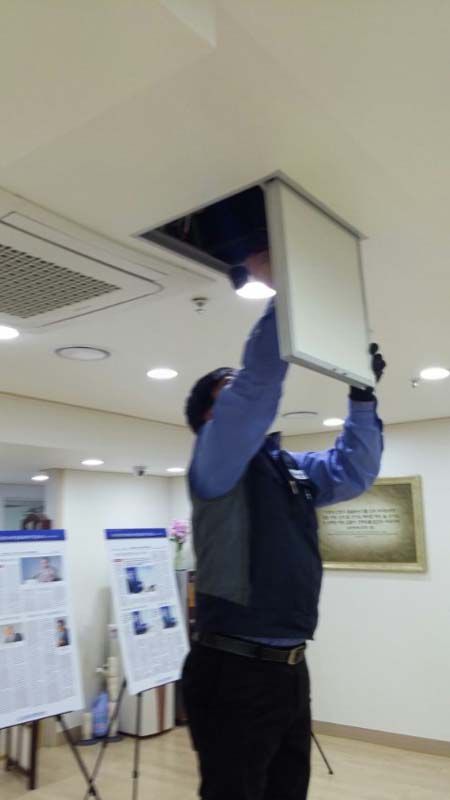 교회 내부 쥐 퇴치 의뢰