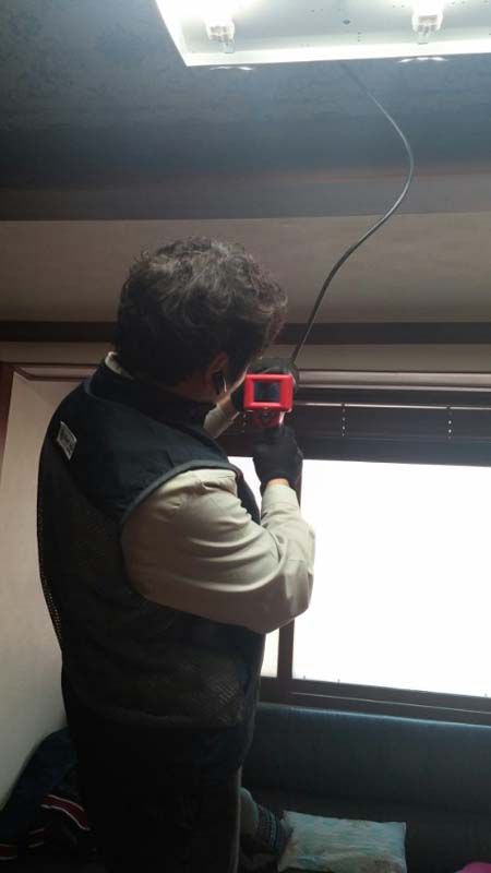 가정집 빌라 전세대 쥐퇴치의뢰